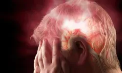 Tα Αρχαία Ελληνικά επαναπρογραμματίζουν τον εγκέφαλο