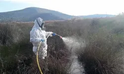 ΙΣΑ: Καταγγέλλει την αποτυχημένη διαχείριση του ζητήματος των ψεκασμών